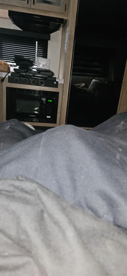 DM19